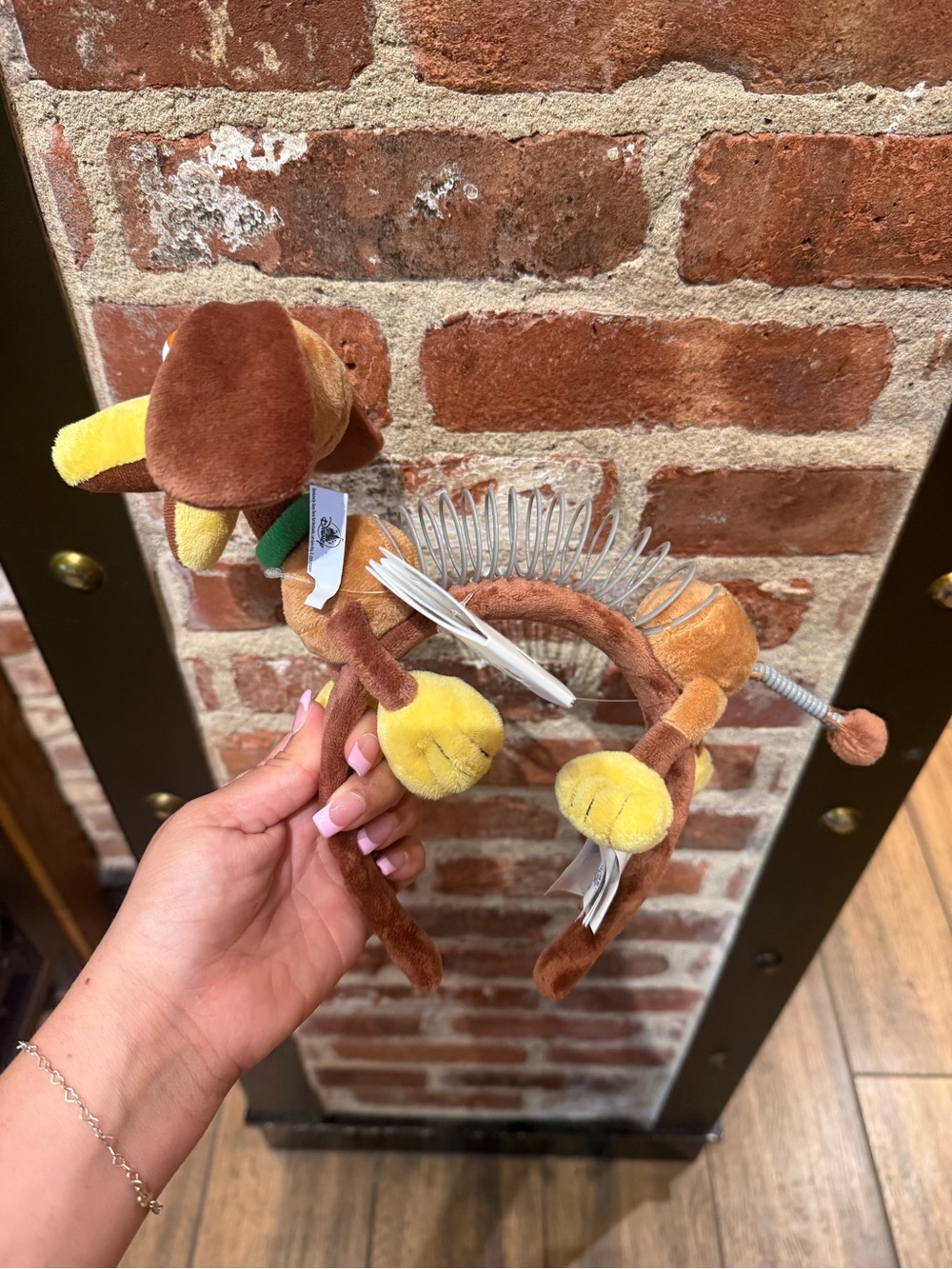 Disney parks: SLINKY DOG ears